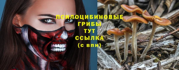 кокаин Гусев